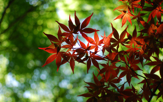 398001 (a): :2560x1600
